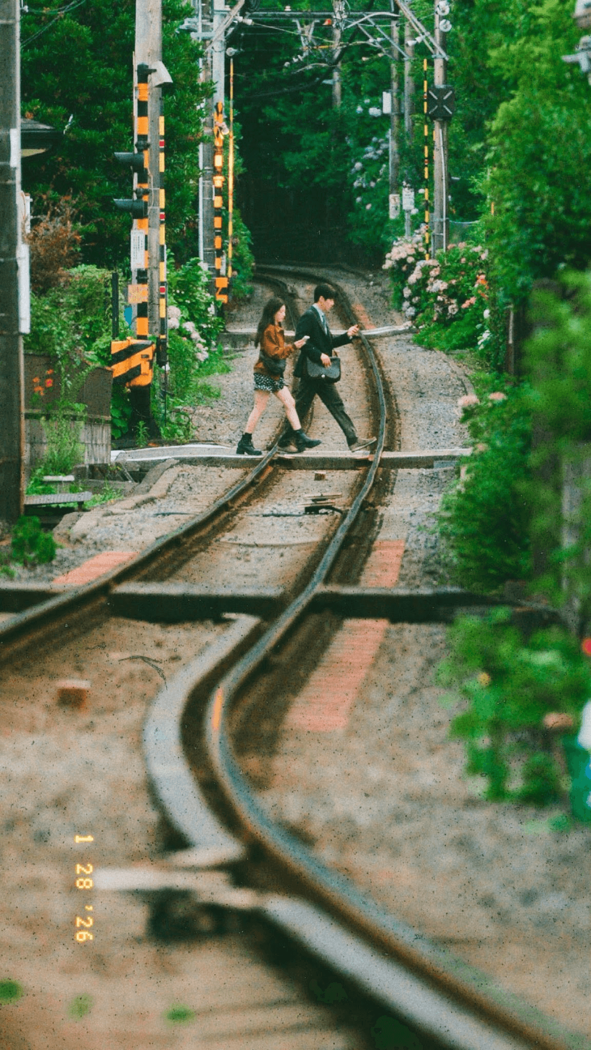 Can Love Be Translated